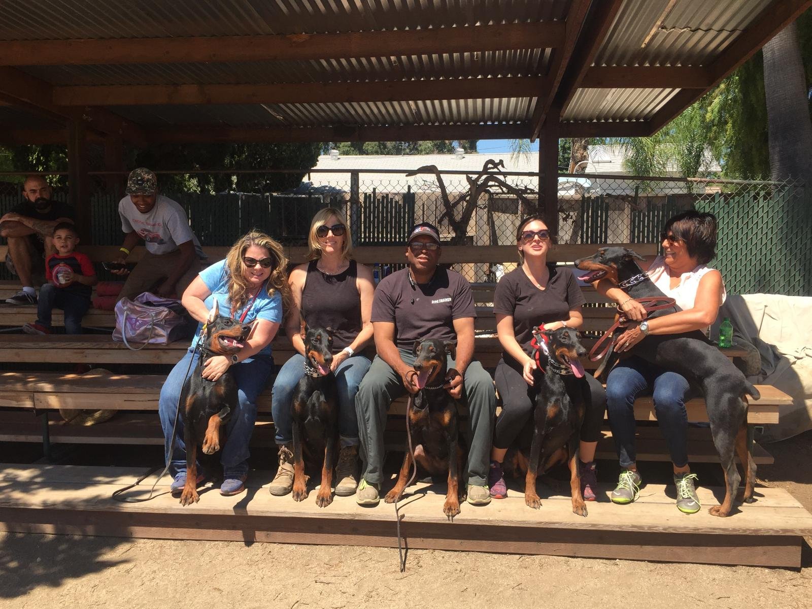 Daryl Young Doberman training group clinic